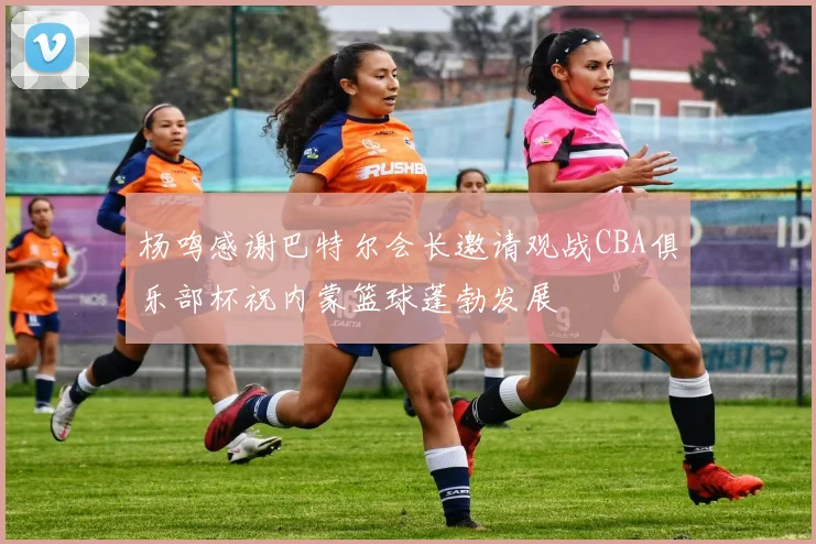 杨鸣感谢巴特尔会长邀请观战CBA俱乐部杯祝内蒙篮球蓬勃发展