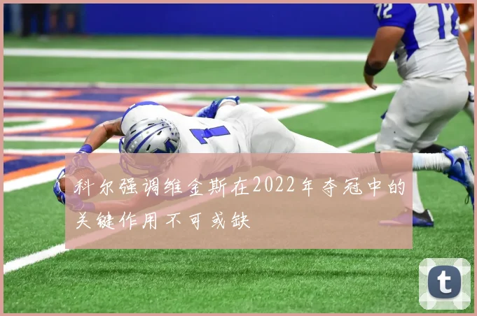 科尔强调维金斯在2022年夺冠中的关键作用不可或缺